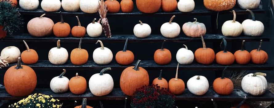Orange and white pumpkins on the ground and arranged on a series of elevated tiers